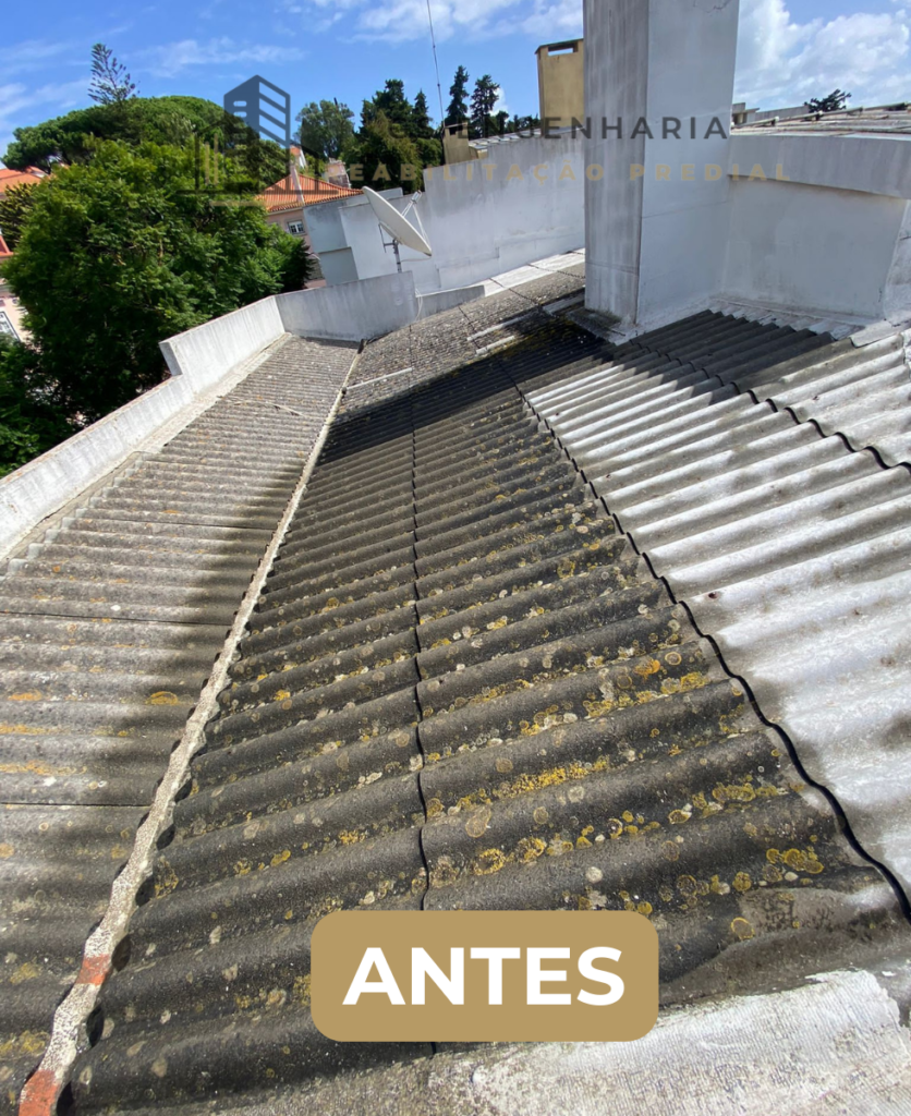 ANTES (6)